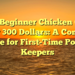 Best Beginner Chicken Coop Under 300 Dollars: A Complete Guide for First-Time Poultry Keepers