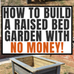 How To Build A Raised Garden Bed For Beginners Cheap