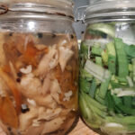 How To Make Lacto Fermented Vegetables At Home A Complete Beginners Guide